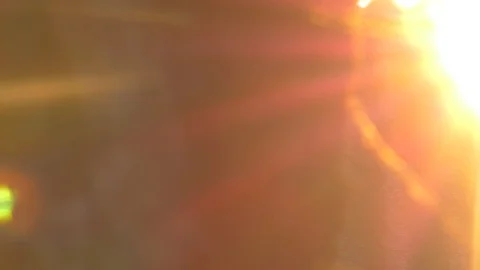 Spider Web through the sunlight Stock Footage 89247327