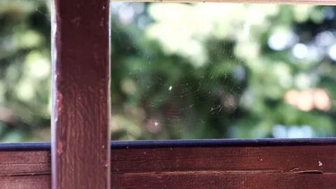 Spider Web with Tiny Spider Swaying in Breeze on Wooden House Beam Stock Footage 314622993
