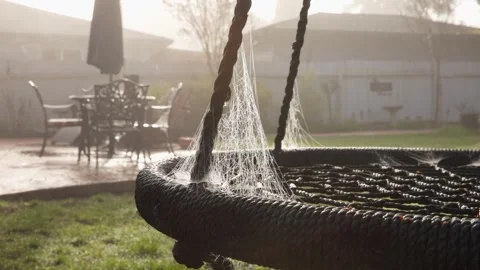 Spider web on tree swing with dewdrops and fog Stock Footage 265818695