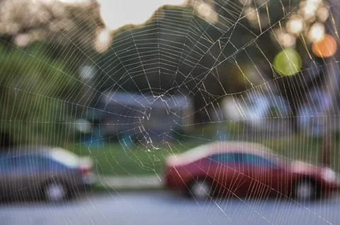 Spider web in an urban window 写真素材