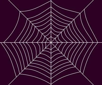 Spider web vector design. purple background Stock Illustration