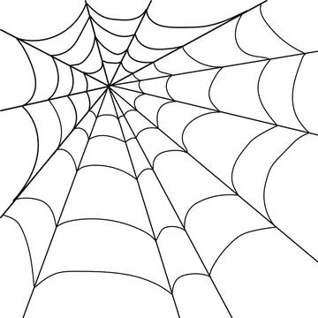 Spider web vector illustration background for halloween isolated on white Illustrazione stock