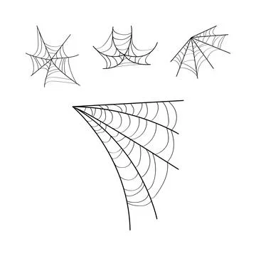Spider web vector illustration graphic design elements Stockillustratie