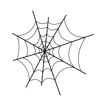Spider web vector illustration Stock Illustration