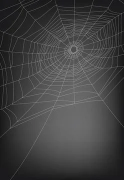 Spider web a vector illustrations of spider web, with copy space. lines ar... Stockfoto's