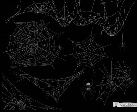 Hanging spider on web thread Royalty Free Vector Image