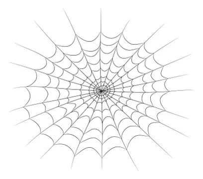 Spider web vector symbol icon design. Beautiful illustration isolated on whit Stock Illustration
