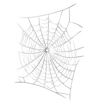 Spider web vector symbol icon design. Beautiful illustration isolated on whit Stock Illustration