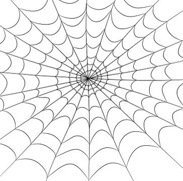 Spider web vector symbol icon design. Beautiful illustration isolated on whit Stock Illustration