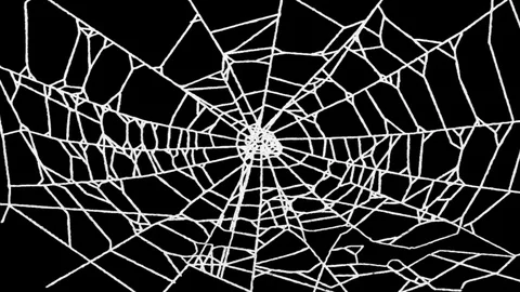 Spider web vhs tv static - halloween vj loop Stock Footage 96482089
