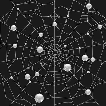 Spider web with water droplets on it. Spider web background Stock Illustration