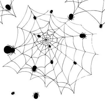 Spider Web On White Background. Halloween Design Elements. Spooky Scary Horro Illustrazione stock