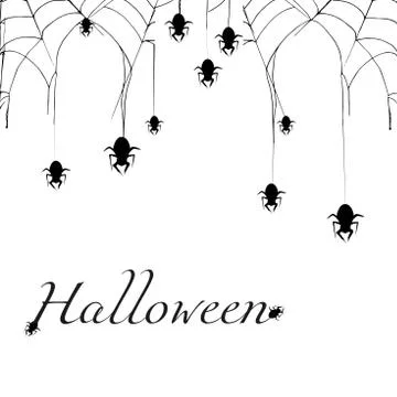 Spider Web On White Background. Halloween Design Elements. Spooky Scary Horro Stock Illustration