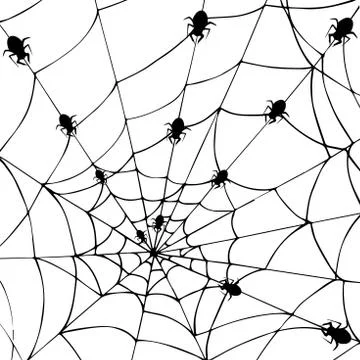 Spider Web On White Background. Halloween Design Elements. Spooky Scary Horro Stock Illustration