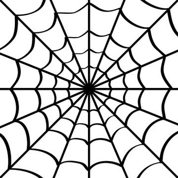 Spider web on white. Illustrazione stock