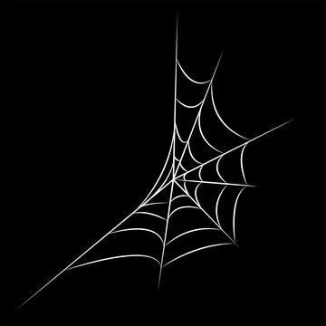 Spider web in white line art. editable illustration for halloween Stock Illustration