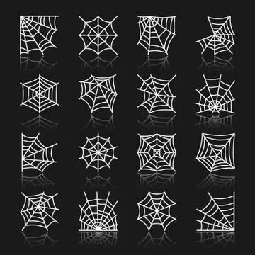 Spider web white line with reflection icon set Stock Illustration