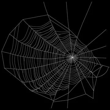Spider web. White threads. Vector illustration Stock Illustration