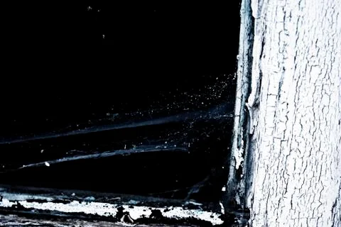 Spider web in window Foto stock