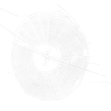 Spider web woven on a black background is a place for advertising 스톡 사진