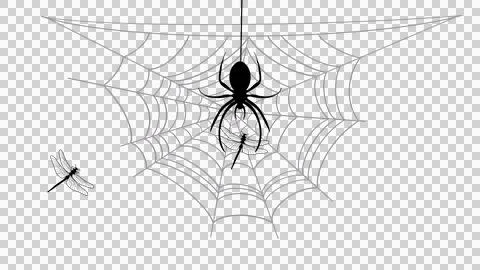Spider webbing insect, spider hanging on web, traps and eats insects Stock Illustration