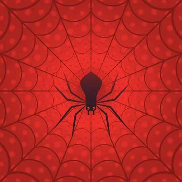 Spider in the web.Illustration. Stock Illustration
