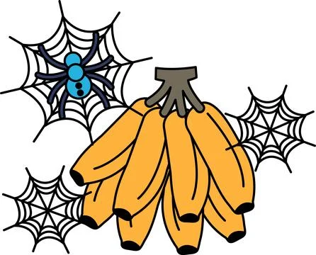 Spider webs frame a bunch of bananas Illustrazione stock