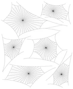 Spider webs Stock Illustration