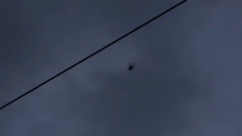 Spider on a wire in the sky Stock-Footage 196685123