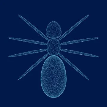 Spider wireframe vector illustration. Blue spider on dark background. Danger 스톡 일러스트