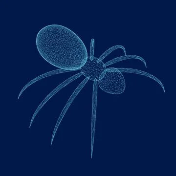 Spider wireframe vector illustration. Blue spider on dark background. Danger 스톡 일러스트