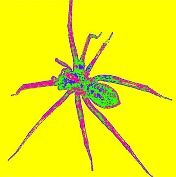 Spider Yb Stock Illustration