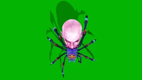 Spider Zombie Walkcycle Loop Top Green Screen 3D Rendering Animation Stock Footage 95140614