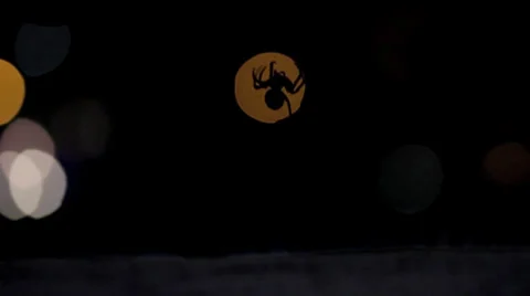 Spider.m4v 库存影片 27139996