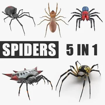 Spiders 3D Models Collection 3D Model