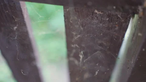 Spiders abandoned dirty cobweb at the angle of wooden fence Video stock 288452140