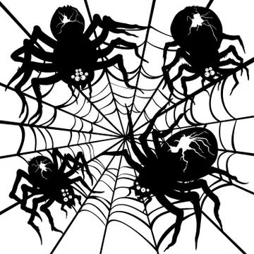 Spiders and a web Stock Illustration