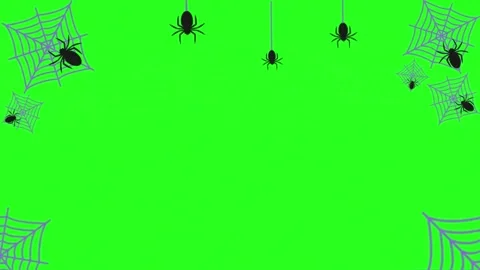 Spiders and webs on green screen for halloween Stock-Footage 337312371