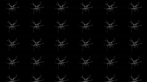 Spiders Crawl Up Loop with Alpha Vídeos de archivo 876586