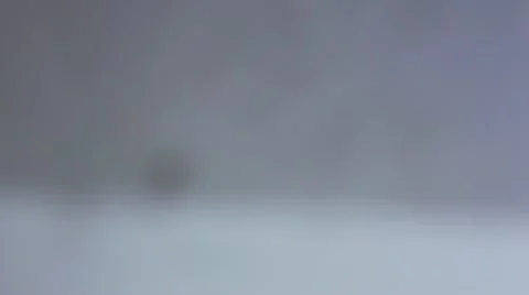 Spiders Stock Footage 11800972