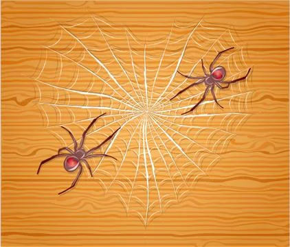 Spiders with heart. Stock Illustration