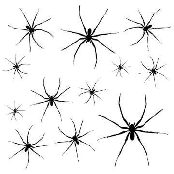 Spiders Stock Illustration