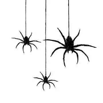 Spiders Illustrazione stock