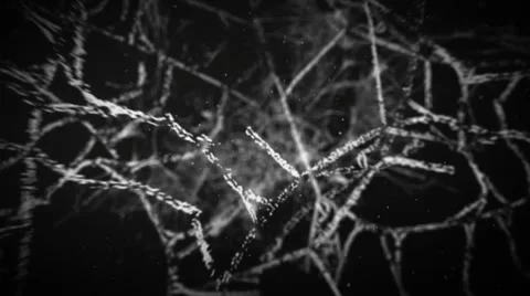 Spiders Intro 스톡 After Effects
