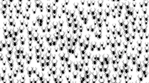 Spiders migration Stock Footage 8684401