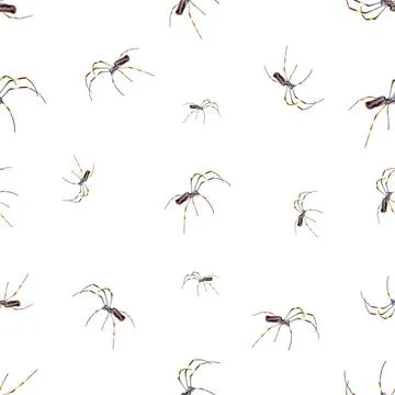 Spiders Motif Seamless Pattern Design Spiders motif seamless pattern desig... Stock Photos