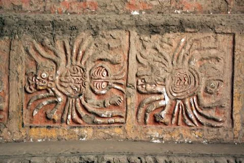 Spiders Stock Photos