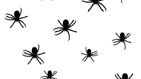 Spiders running down Stockbeeldmateriaal 90529851