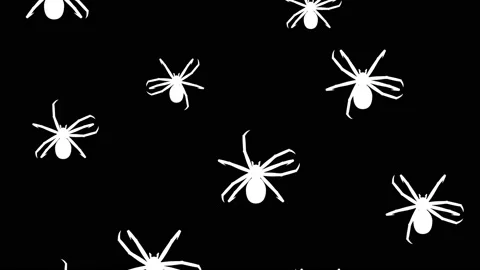 Spiders running up Stock Footage 90529845