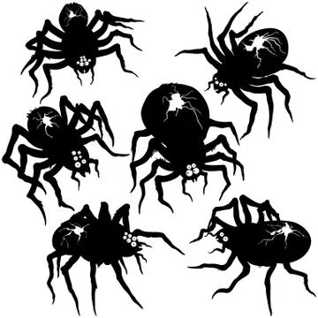 Spiders set Stock Illustration